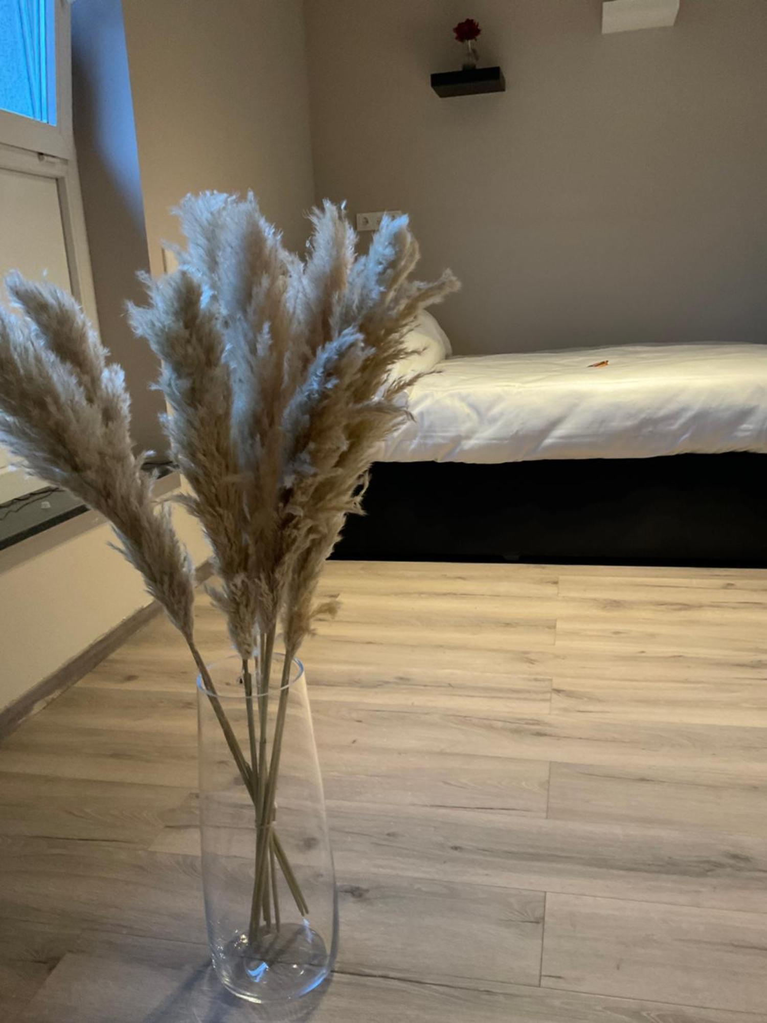 Modernes Studio Am Dreilaendereck Alsdorf Esterno foto